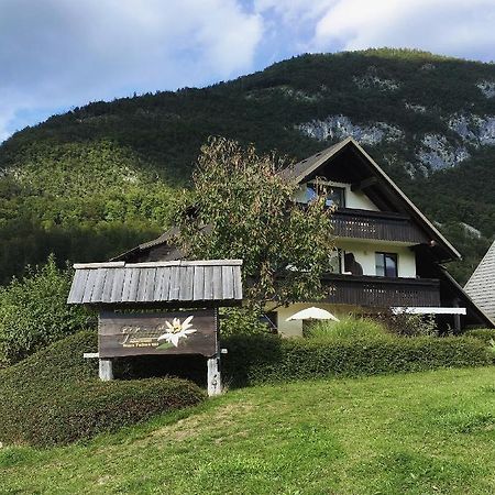 Charming And Cozy Apartment Sara Bohinj ภายนอก รูปภาพ